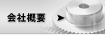 ЊTv